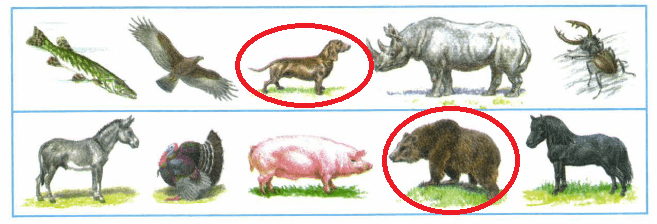 Решение рисунок 1